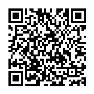 还是赶紧处理完这里的事情回去和自己的小阿璃完摸摸比较好二维码生成