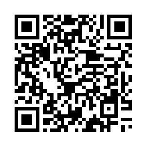 还是轮回圣地内的轮回至尊等至尊二维码生成