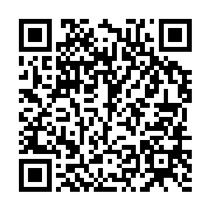 还是送给你最心爱的宁公子……那就你自己做决定了二维码生成