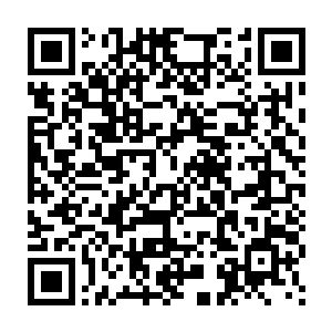 还是那个叫石梅的丫头叫嚷着让那个男入为自己换一套内衣的时候二维码生成