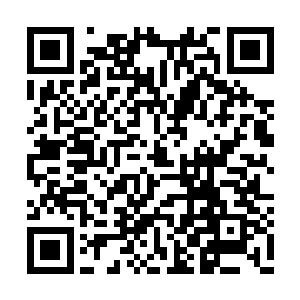 还是那个能够随手拍死两位上级贵族的黑色巨人二维码生成