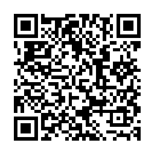 还是那个迹部大爷……说不定还能看到其他传说中的土豪来着二维码生成