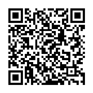 还是那些已经跑不动了的偷猎者里有个人扭头往回看了一眼二维码生成