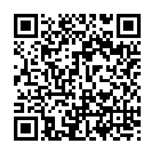 还是那些想来幽州这个下州开拓家族领地的外地豪二维码生成