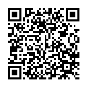 还是那边的十九道菜好吃……可惜就是量太少了……二维码生成