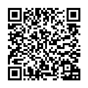 还是酒桶传送下来的大招摧毁阵型拖住奥巴马和锤石俩人二维码生成