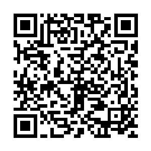 还是长葫芦型的小南瓜在离砍瓜约百里左右的一个山谷内找到了二维码生成