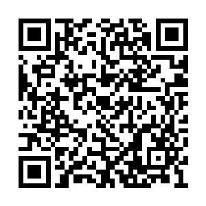还是难以避免的出现了一种叫做兔死狐悲的感觉二维码生成