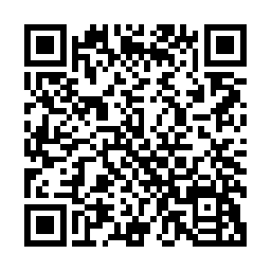 还曾经打算将辉煌集团的项目经理刁大龙和小白菜活埋在这里二维码生成