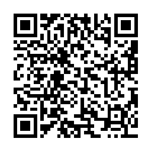 还有……明天……明天我一定去学校将你的那个处分给划掉……二维码生成
