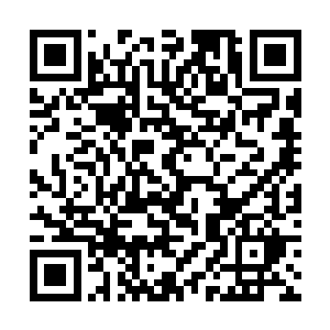 还有……那个……小萌祖奶奶虽然说是我们孔家的人二维码生成