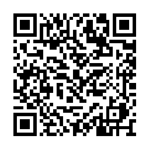 还有一个保镖连夜赶到宁海过来和佐藤佳禾见面二维码生成