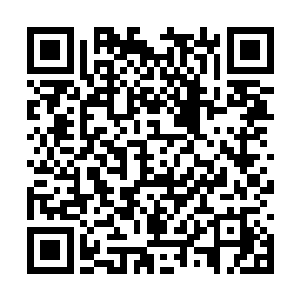 还有一个原因则是卓玛的实力比他卓达还要强得多二维码生成