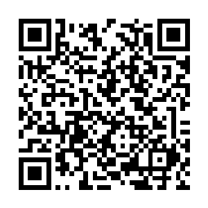 还有一个圣级九层后期巅峰大修士留下的一生领悟二维码生成