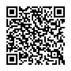 还有一个就是我把你们这临时政府的大楼给拆咯二维码生成