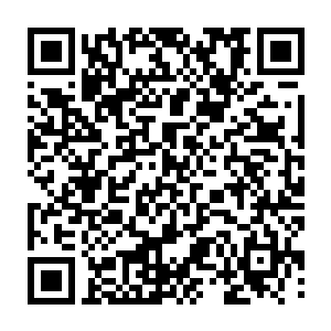 还有一个最重要的原因就是张潇晗及时用契约的力量控制住了楚清狂的身体二维码生成