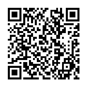 还有一个银可术的亲卫蒲里衍领十余甲士看住堡门二维码生成