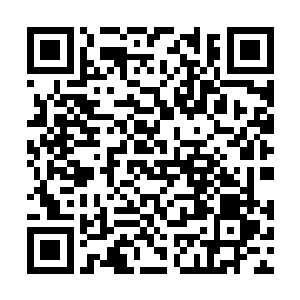 还有一些人体的碎肢和骨骼被人随意的抛弃在场边二维码生成