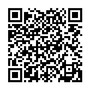 还有一些年份数千年上万年之久的灵药以及珍贵的金属矿石等等二维码生成