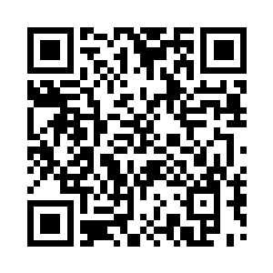 还有一些水下小生物也喜欢去那里的岸边二维码生成