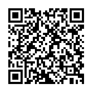 还有一些热衷书画作品收藏的收藏爱好者从全国各地赶了过来二维码生成
