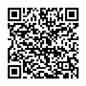 还有一些简单的衣物和河滩城巡逻队淘汰下来的兵器二维码生成