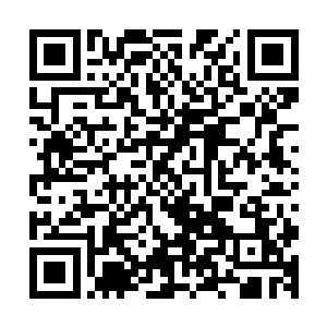 还有一些经纪人或者英国圈内的熟人推荐的演员没有列入其中二维码生成