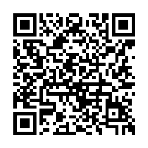 还有一位修为已经臻至混元始境的太上长老坐镇二维码生成