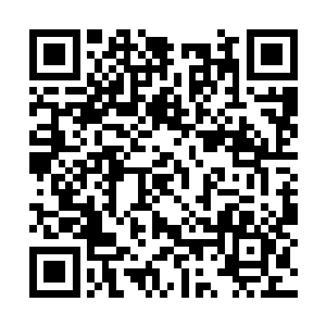 还有一只完全由白色烈焰形成的巨大神凤展翅腾飞二维码生成