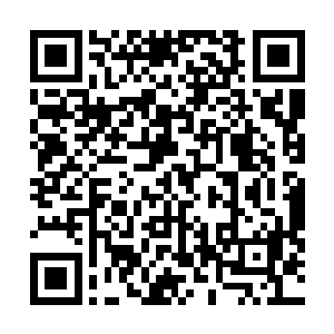 还有一名有着一双奇特的好似镶着金边的黑眸的沉默少年二维码生成