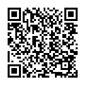 还有一天的时间便是帝联商会举办的百年一次的拍卖盛会了二维码生成
