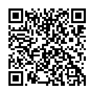 还有一头太古黑龙――也是费南世界仅存的两头黑龙之一了二维码生成