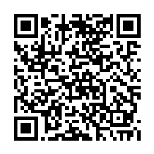 还有一小部分是洪涛的私人律师和基金会的律师二维码生成