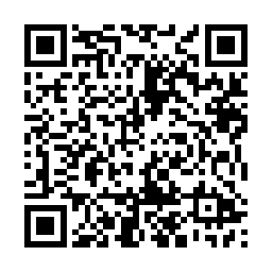 还有一年就要毕业归国和男朋友早就私下同居订了终身二维码生成