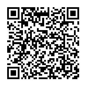 还有一座巨塔随之朝正准备乘势击杀青蛇殿弟子的狄云起四人而来二维码生成