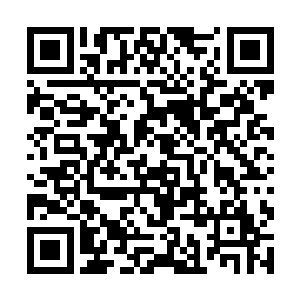 还有一旁那象征性劝阻但是实则煽风点火的温柔声…二维码生成