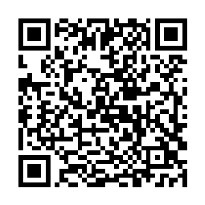 还有一点就是他们竟然完全看不透龙傲天众人的修为二维码生成