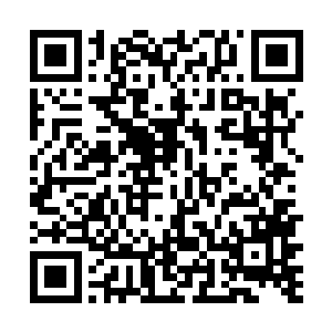 还有一部人则是打算趁着现在茅草屋还没建成先干一票二维码生成