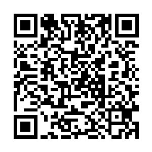 还有一部分就是我消失之后大家都是呆在华夏的原因二维码生成