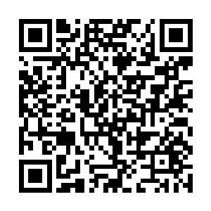 还有一部分最尖端武器是在德利尔伯爵密室中获得的二维码生成