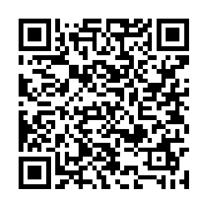 还有三个人尊初期巅峰和四个人尊初期大修士受伤二维码生成