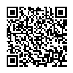 还有三分之一的是这个地球上除了方寸天地水族馆外绝无仅有的二维码生成