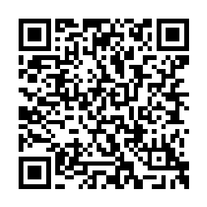 还有三只威风凛凛张牙舞爪可以碾压他们的白狼二维码生成