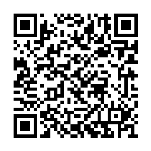 还有不少如这个少年一样的未成年蛮族正在忙碌二维码生成