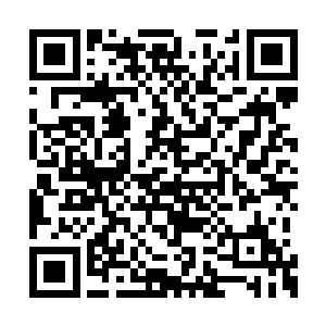 还有两个全新的伪造身份与一笔数额不大的经费二维码生成