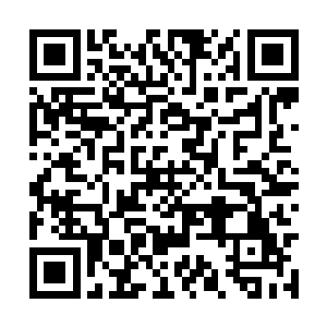 还有两名一眼便知擅长外家功夫的魁梧汉子也出列二维码生成
