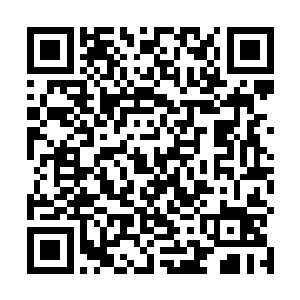 还有两块切好的极品仙石也随意地在好几块上品仙石中二维码生成