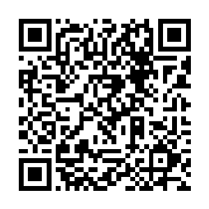 还有两家有资质的建筑公司派精干技术人员过去协助二维码生成