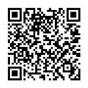 还有两条分别持着一把宝剑和一块金光闪闪的方砖二维码生成