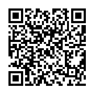 还有中品灵石……简直比以前在整个剧情中的收获还多二维码生成